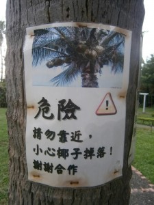Attention! Chute de noix de coco!