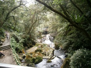 Yangmingshan National Park